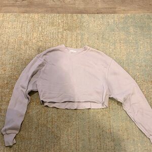 Good American Light Taupe Cropped Sweatshirt